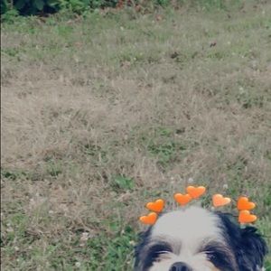 Meet your Posher, Amber